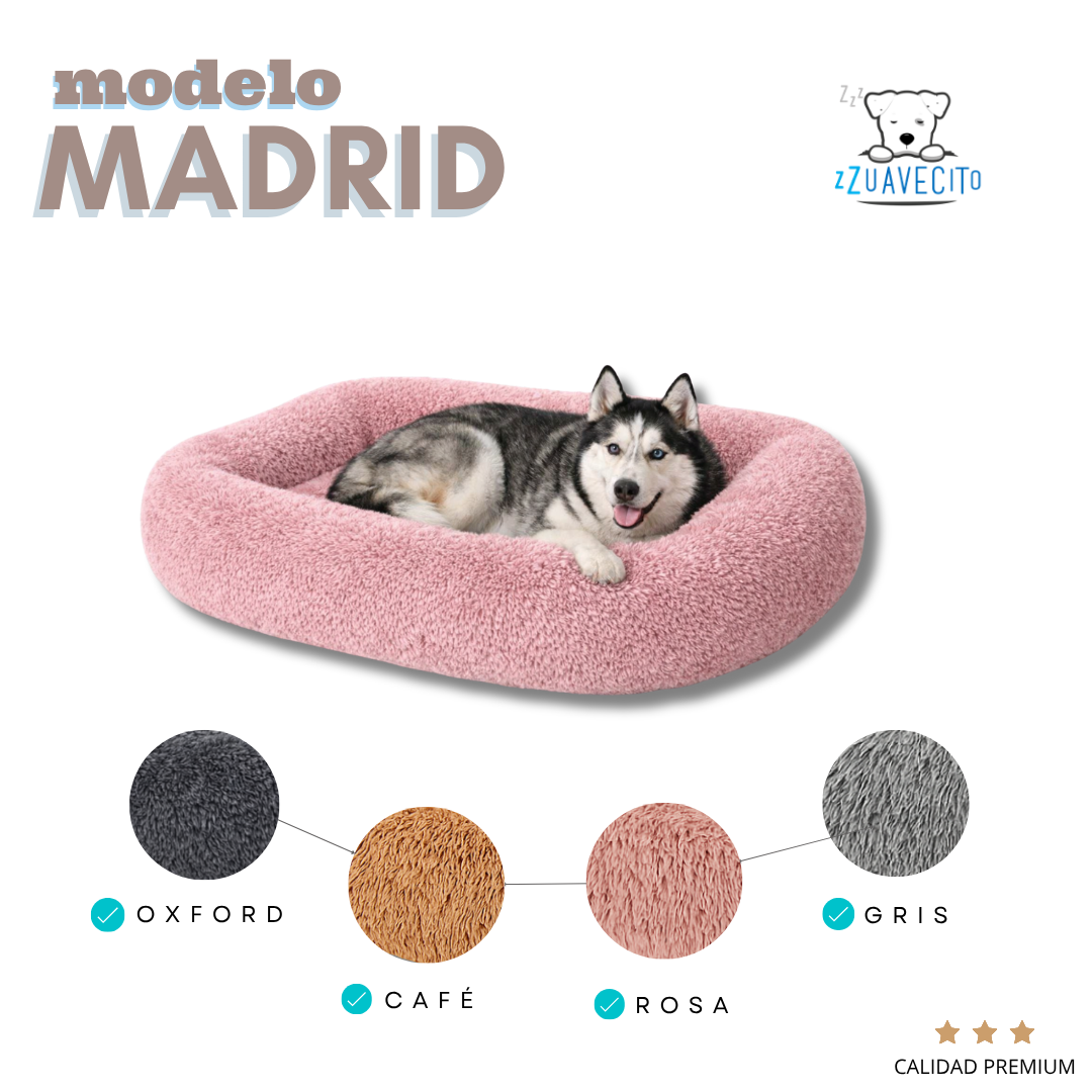 MODELO MADRID